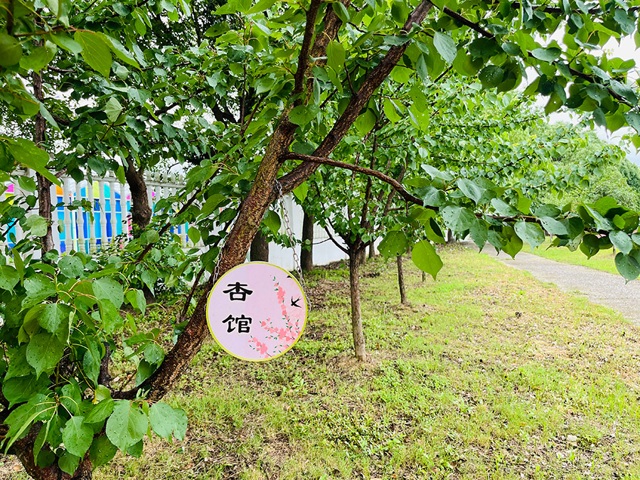 孤独症学校.jpg